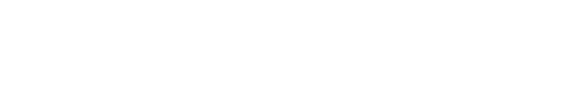 Armadillo